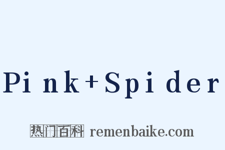 Pink+Spider是什么意思的图片